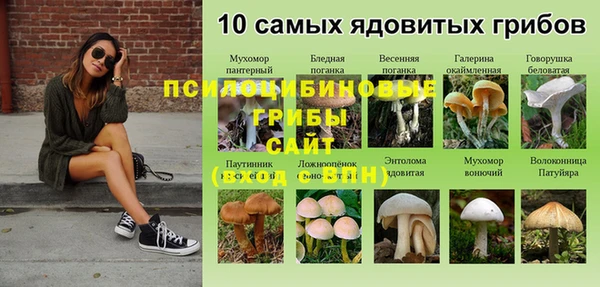 гашиш Краснослободск