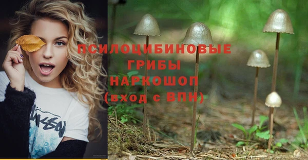 гашиш Краснослободск